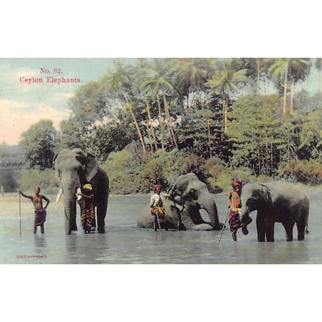 Rare collectable postcards of Sri Lanka (Ceylon). Vintage Postcards of Sri Lanka (Ceylon)