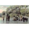 Rare collectable postcards of Sri Lanka (Ceylon). Vintage Postcards of Sri Lanka (Ceylon)