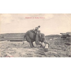 Rare collectable postcards of Sri Lanka (Ceylon). Vintage Postcards of Sri Lanka (Ceylon)