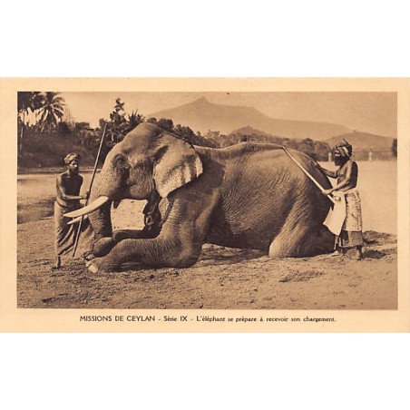Rare collectable postcards of Sri Lanka (Ceylon). Vintage Postcards of Sri Lanka (Ceylon)