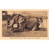 Rare collectable postcards of Sri Lanka (Ceylon). Vintage Postcards of Sri Lanka (Ceylon)