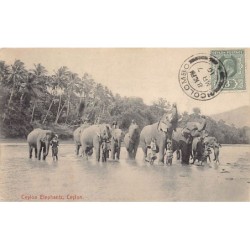 Rare collectable postcards of Sri Lanka (Ceylon). Vintage Postcards of Sri Lanka (Ceylon)
