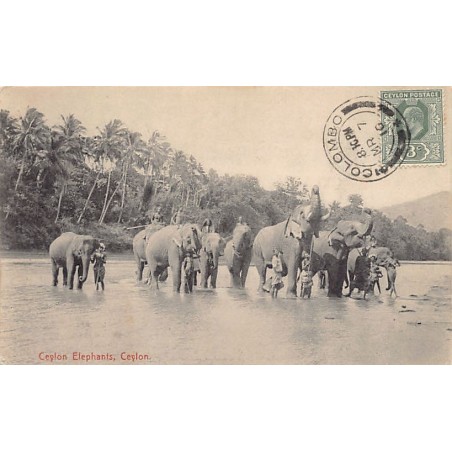 Rare collectable postcards of Sri Lanka (Ceylon). Vintage Postcards of Sri Lanka (Ceylon)