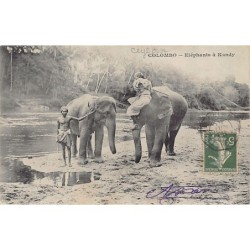 Rare collectable postcards of Sri Lanka (Ceylon). Vintage Postcards of Sri Lanka (Ceylon)
