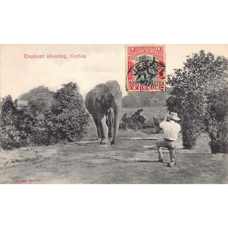 Rare collectable postcards of Sri Lanka (Ceylon). Vintage Postcards of Sri Lanka (Ceylon)