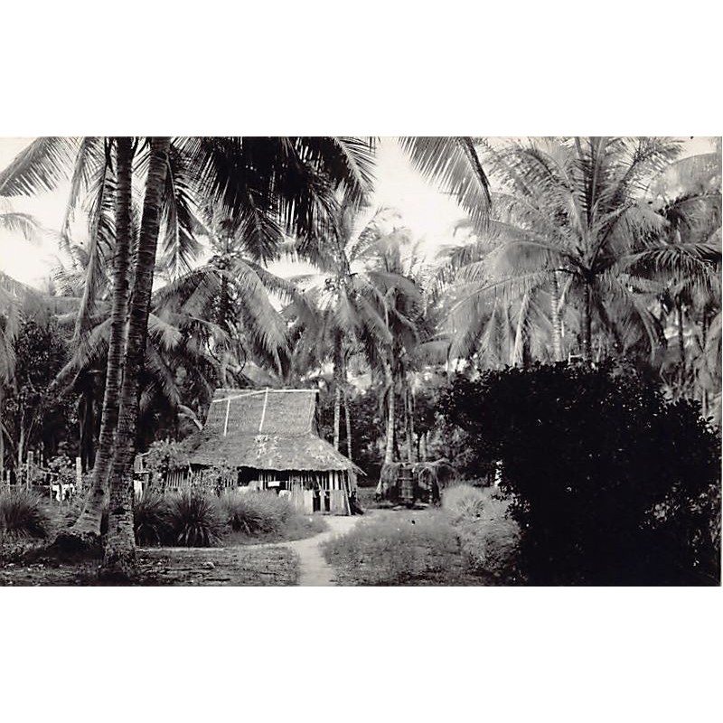 Rare collectable postcards of Sri Lanka (Ceylon). Vintage Postcards of Sri Lanka (Ceylon)