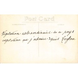 Rare collectable postcards of Sri Lanka (Ceylon). Vintage Postcards of Sri Lanka (Ceylon)