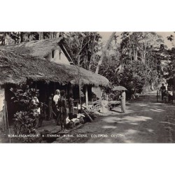 Rare collectable postcards of Sri Lanka (Ceylon). Vintage Postcards of Sri Lanka (Ceylon)