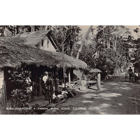 Rare collectable postcards of Sri Lanka (Ceylon). Vintage Postcards of Sri Lanka (Ceylon)