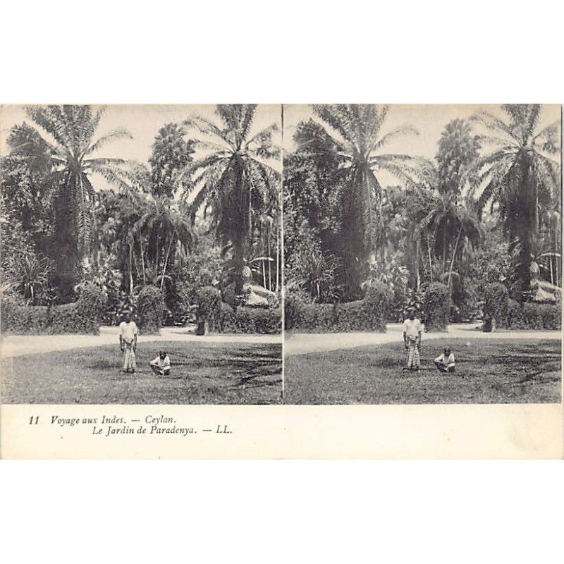 Rare collectable postcards of Sri Lanka (Ceylon). Vintage Postcards of Sri Lanka (Ceylon)