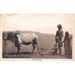 Rare collectable postcards of Yemen. Vintage Postcards of Yemen