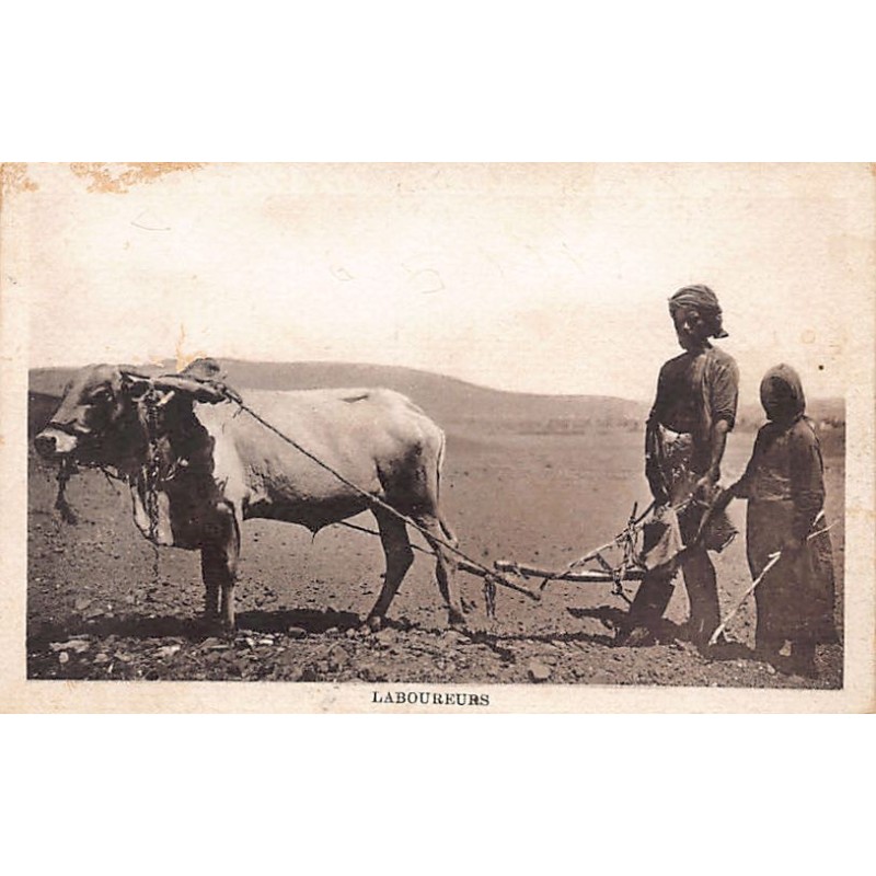 Rare collectable postcards of Yemen. Vintage Postcards of Yemen