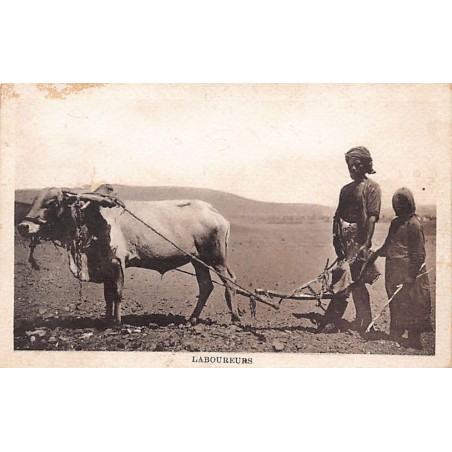 Rare collectable postcards of Yemen. Vintage Postcards of Yemen