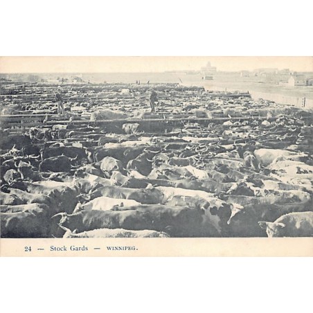 Rare collectable postcards of Canada. Vintage Postcards of Canada