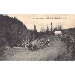 Rare collectable postcards of Canada. Vintage Postcards of Canada