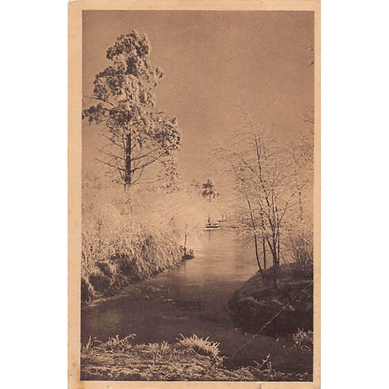 Rare collectable postcards of POLAND. Vintage Postcards of POLAND