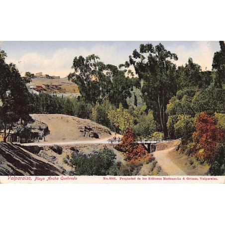 Rare collectable postcards of Chile. Vintage Postcards of Chile