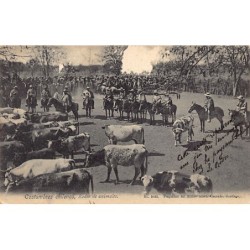 Rare collectable postcards of Chile. Vintage Postcards of Chile