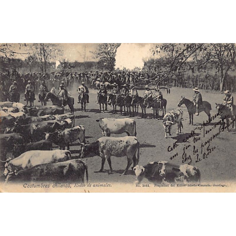 Rare collectable postcards of Chile. Vintage Postcards of Chile