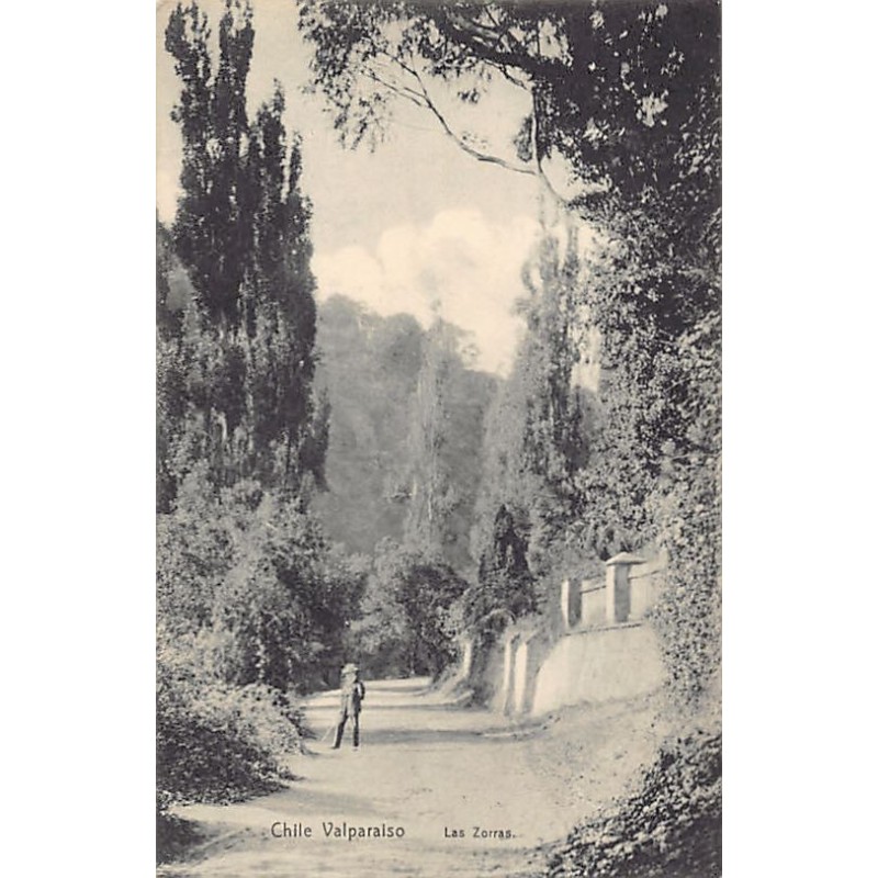 Rare collectable postcards of Chile. Vintage Postcards of Chile