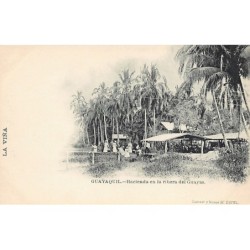 Rare collectable postcards of Ecuador. Vintage Postcards of Ecuador