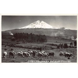 Rare collectable postcards of Ecuador. Vintage Postcards of Ecuador