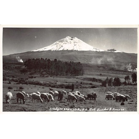 Rare collectable postcards of Ecuador. Vintage Postcards of Ecuador