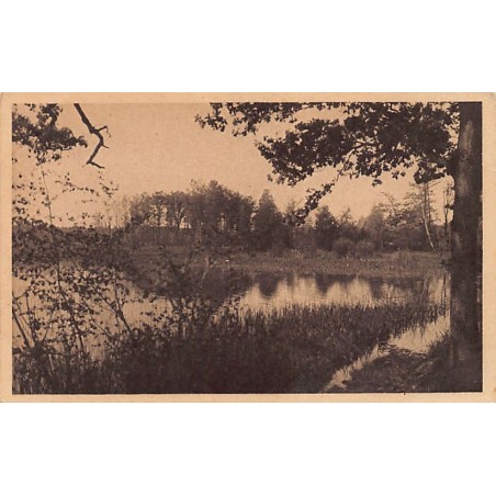 Rare collectable postcards of POLAND. Vintage Postcards of POLAND