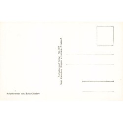 Rare collectable postcards of Austria. Vintage Postcards of Austria