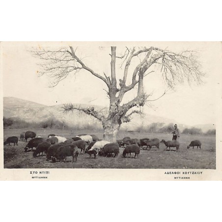 Rare collectable postcards of Greece. Vintage Postcards of Greece