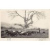 Rare collectable postcards of Greece. Vintage Postcards of Greece