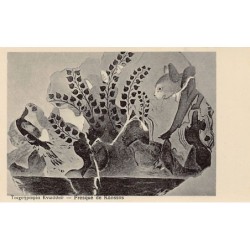 Rare collectable postcards of Greece. Vintage Postcards of Greece