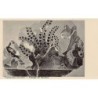 Rare collectable postcards of Greece. Vintage Postcards of Greece