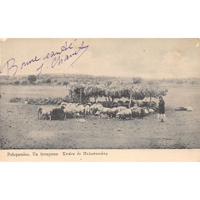 Rare collectable postcards of Greece. Vintage Postcards of Greece