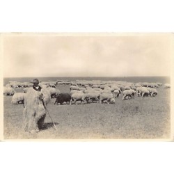 Rare collectable postcards of Hungary. Vintage Postcards of Hungary