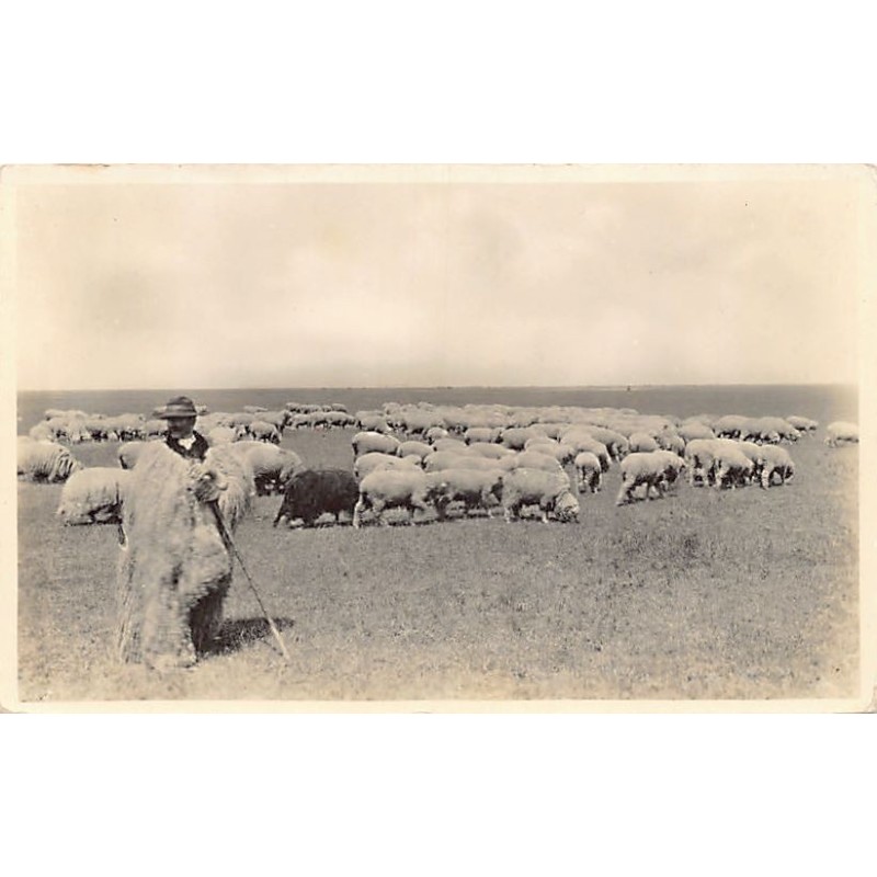 Rare collectable postcards of Hungary. Vintage Postcards of Hungary