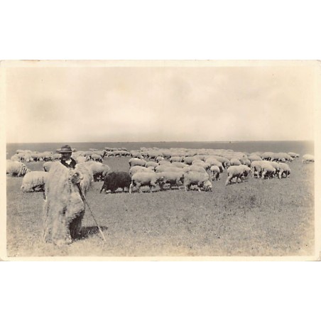 Rare collectable postcards of Hungary. Vintage Postcards of Hungary