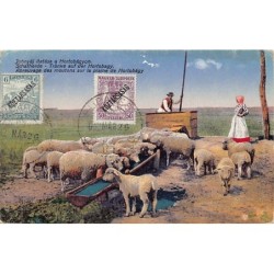 Rare collectable postcards of Hungary. Vintage Postcards of Hungary