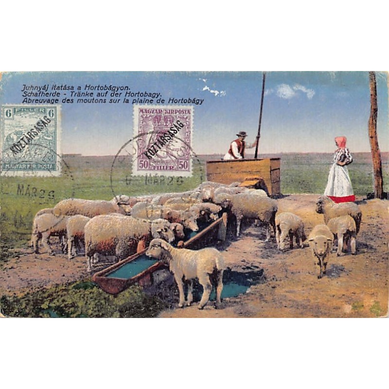 Rare collectable postcards of Hungary. Vintage Postcards of Hungary