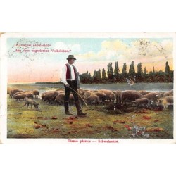 Rare collectable postcards of Hungary. Vintage Postcards of Hungary