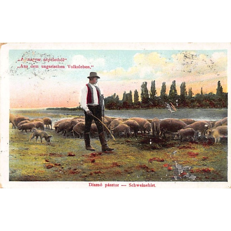 Rare collectable postcards of Hungary. Vintage Postcards of Hungary