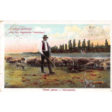 Rare collectable postcards of Hungary. Vintage Postcards of Hungary