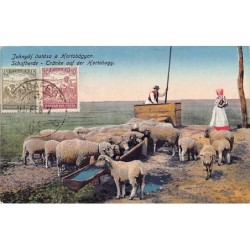 Rare collectable postcards of Hungary. Vintage Postcards of Hungary