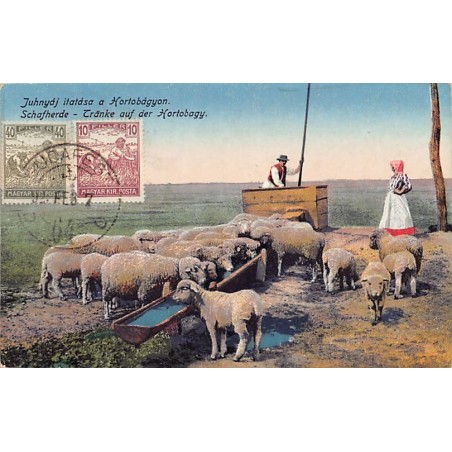 Rare collectable postcards of Hungary. Vintage Postcards of Hungary