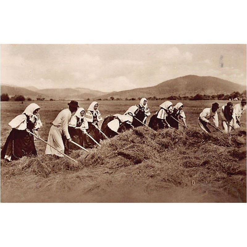 Rare collectable postcards of Hungary. Vintage Postcards of Hungary