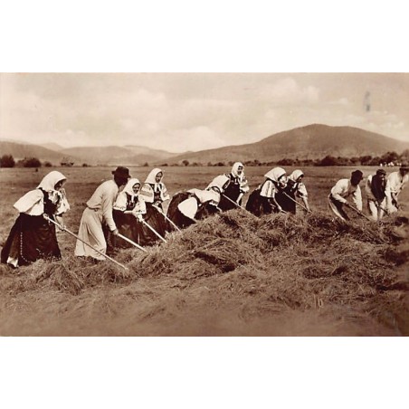 Rare collectable postcards of Hungary. Vintage Postcards of Hungary