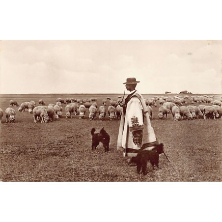 Rare collectable postcards of Hungary. Vintage Postcards of Hungary