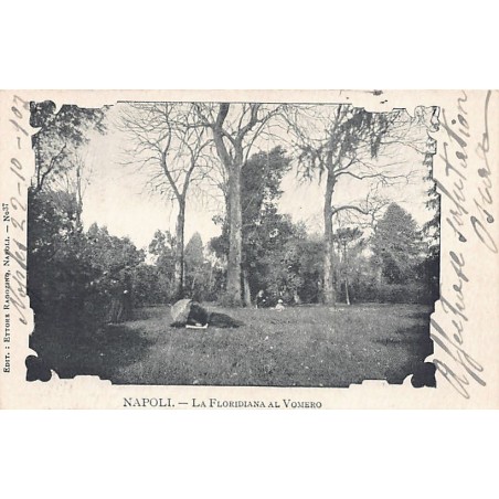 Rare collectable postcards of Italy. Vintage Postcards of Italy