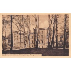 Rare collectable postcards of POLAND. Vintage Postcards of POLAND