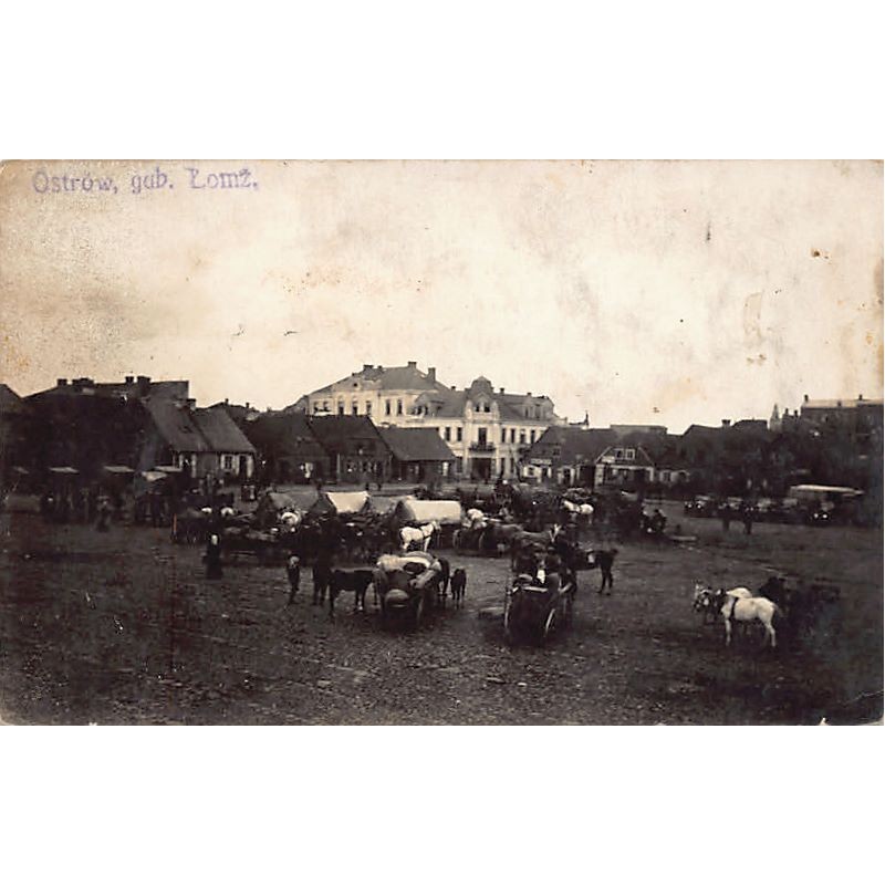 Rare collectable postcards of Poland. Vintage Postcards of Poland